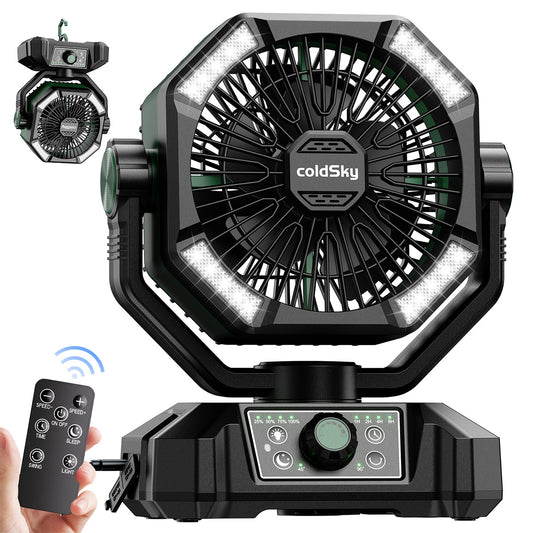 Fan with Dual Motor